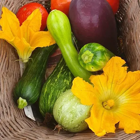 Le Moulin De Laumet 招待所 3*