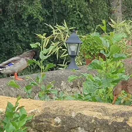 Le Moulin De Laumet 维克费藏萨克