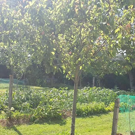 Le Moulin De Laumet 3*