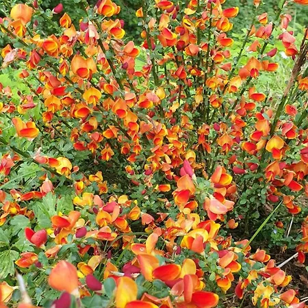 Le Moulin De Laumet 招待所 3*