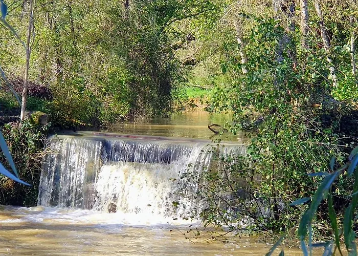 Le Moulin De Laumet Πανσιόν Vic-Fezensac