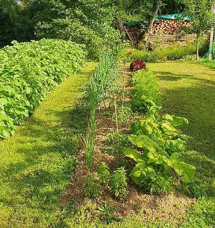 Le Moulin De Laumet 3* Vic-Fezensac