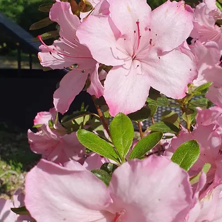 Maison d'hôtes Le Moulin De Laumet 3*