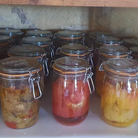 Le Moulin De Laumet Vic-Fezensac