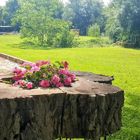 Le Moulin De Laumet 3* Vic-Fezensac