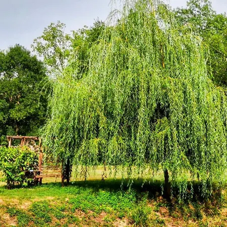 Πανσιόν Le Moulin De Laumet 3*