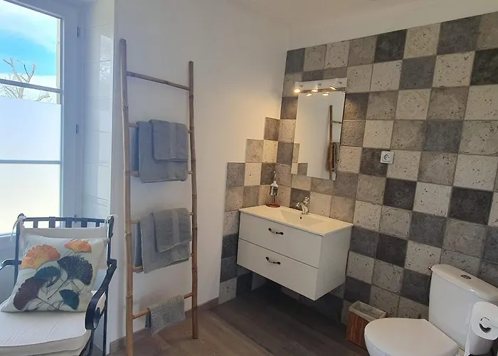 Le Moulin De Laumet 3* Vic-Fezensac