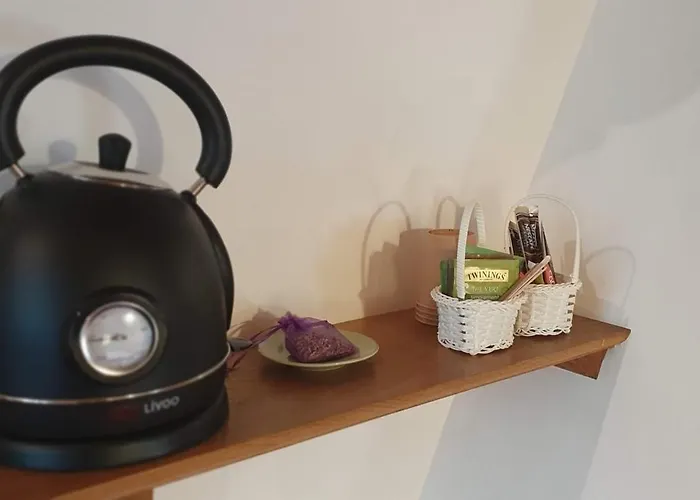 Le Moulin De Laumet 3* Vic-Fezensac