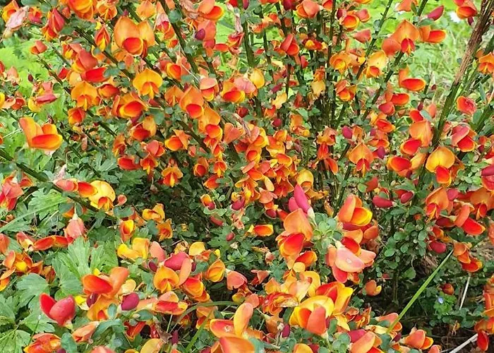 Le Moulin De Laumet Konukevi 3*