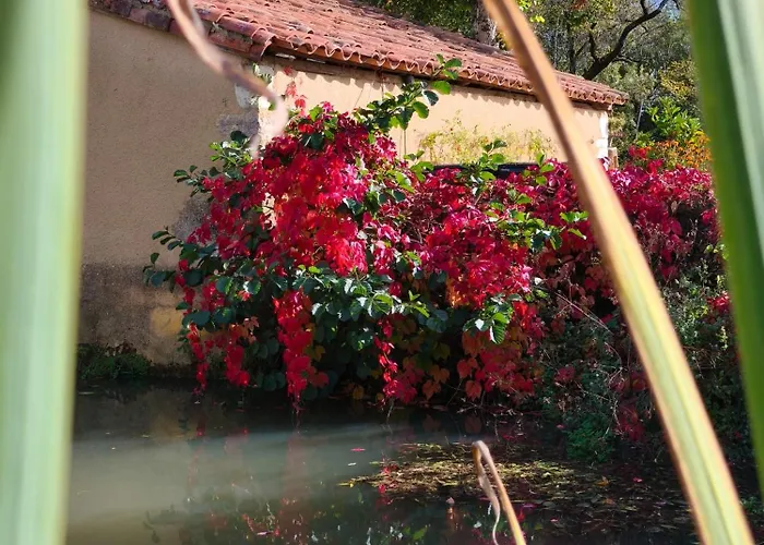 Konukevi Le Moulin De Laumet Vic-Fezensac